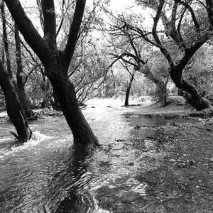 Después de la lluvia (selección)